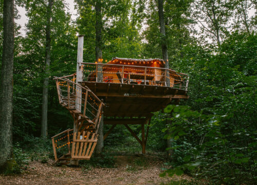 TreeHouse ANDRÁSSY