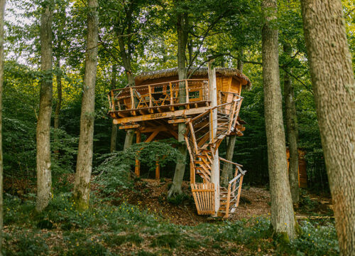 TreeHouse BEBEK