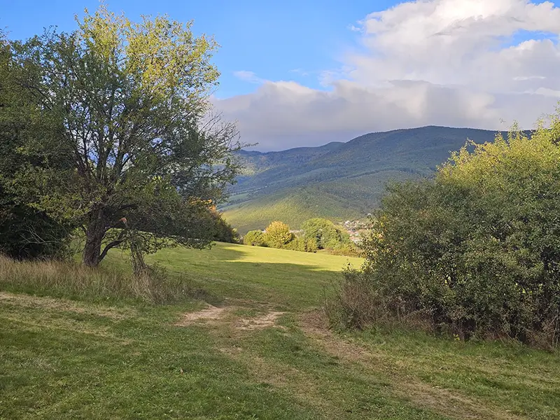 Bod č. 4 – orientačná fotka